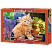 Castor Land Пазл 500  Котенок B-52240 Польша