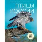 Птицы России. Большая иллюстрированная энциклопедия. Матанцев А.Н. Эксмо