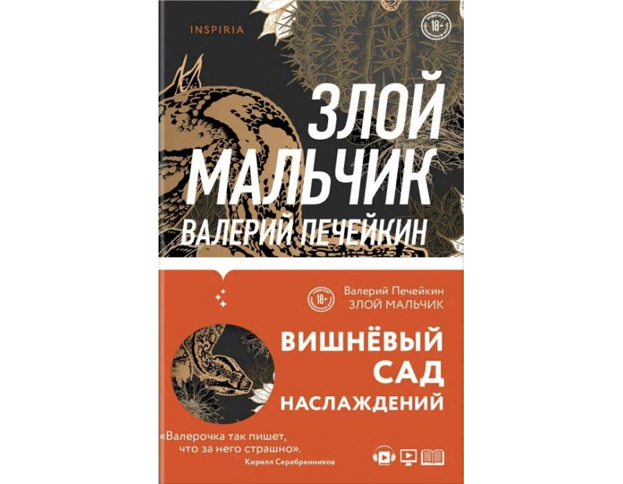 Злой мальчик. Печейкин В.В. Эксмо