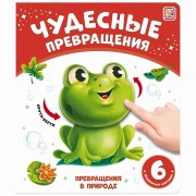 Чудесные превращения. Превращения в природе. 6 подвижных картинок.  Маламалама